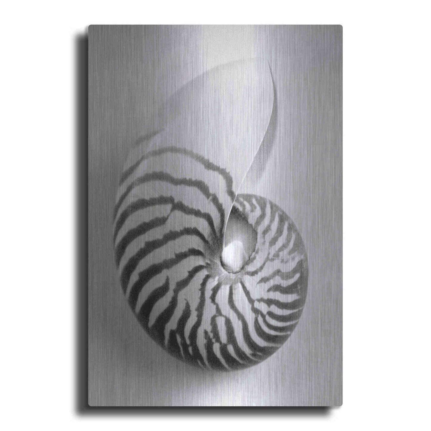 Luxe Metal Art 'Nautilus 2' by Debra Van Swearingen, Metal Wall Art