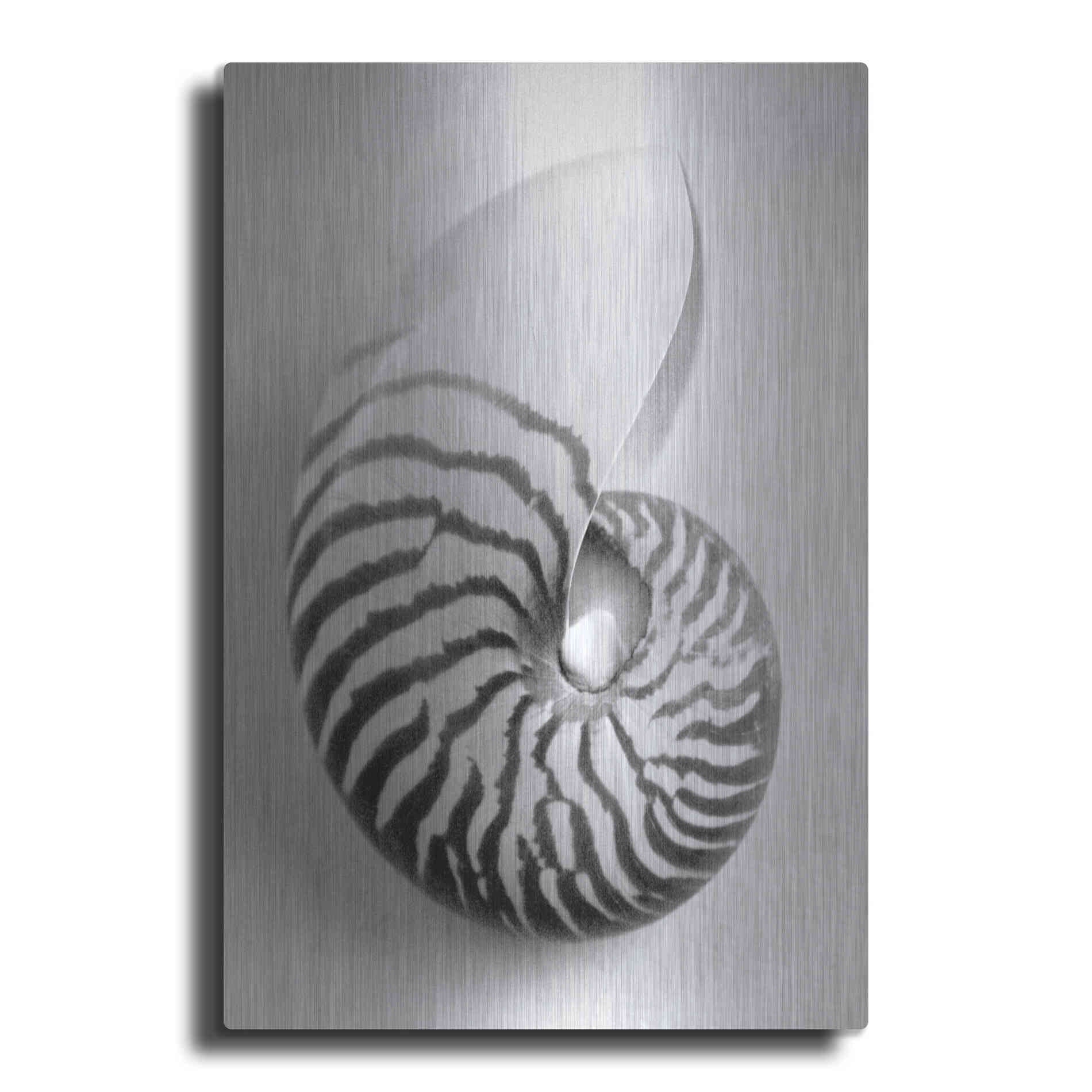 Luxe Metal Art 'Nautilus 2' by Debra Van Swearingen, Metal Wall Art
