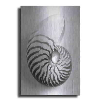 Luxe Metal Art 'Nautilus 2' by Debra Van Swearingen, Metal Wall Art