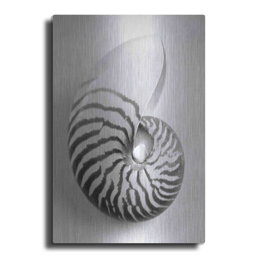 Luxe Metal Art 'Nautilus 2' by Debra Van Swearingen, Metal Wall Art