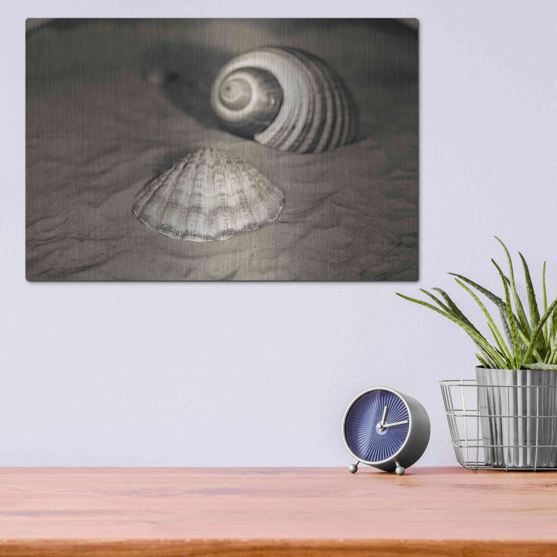Luxe Metal Art 'Scallop Tonna' by Debra Van Swearingen, Metal Wall Art,16x12