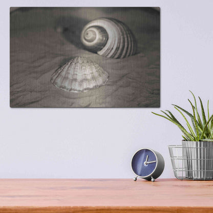 Luxe Metal Art 'Scallop Tonna' by Debra Van Swearingen, Metal Wall Art,16x12