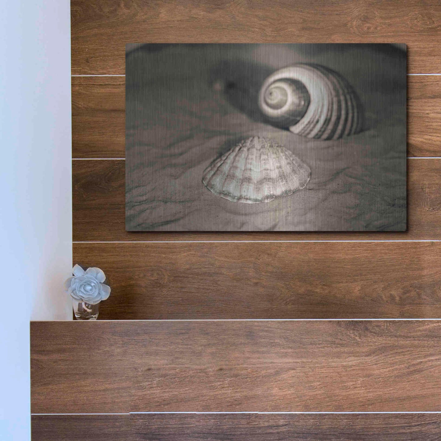Luxe Metal Art 'Scallop Tonna' by Debra Van Swearingen, Metal Wall Art,16x12