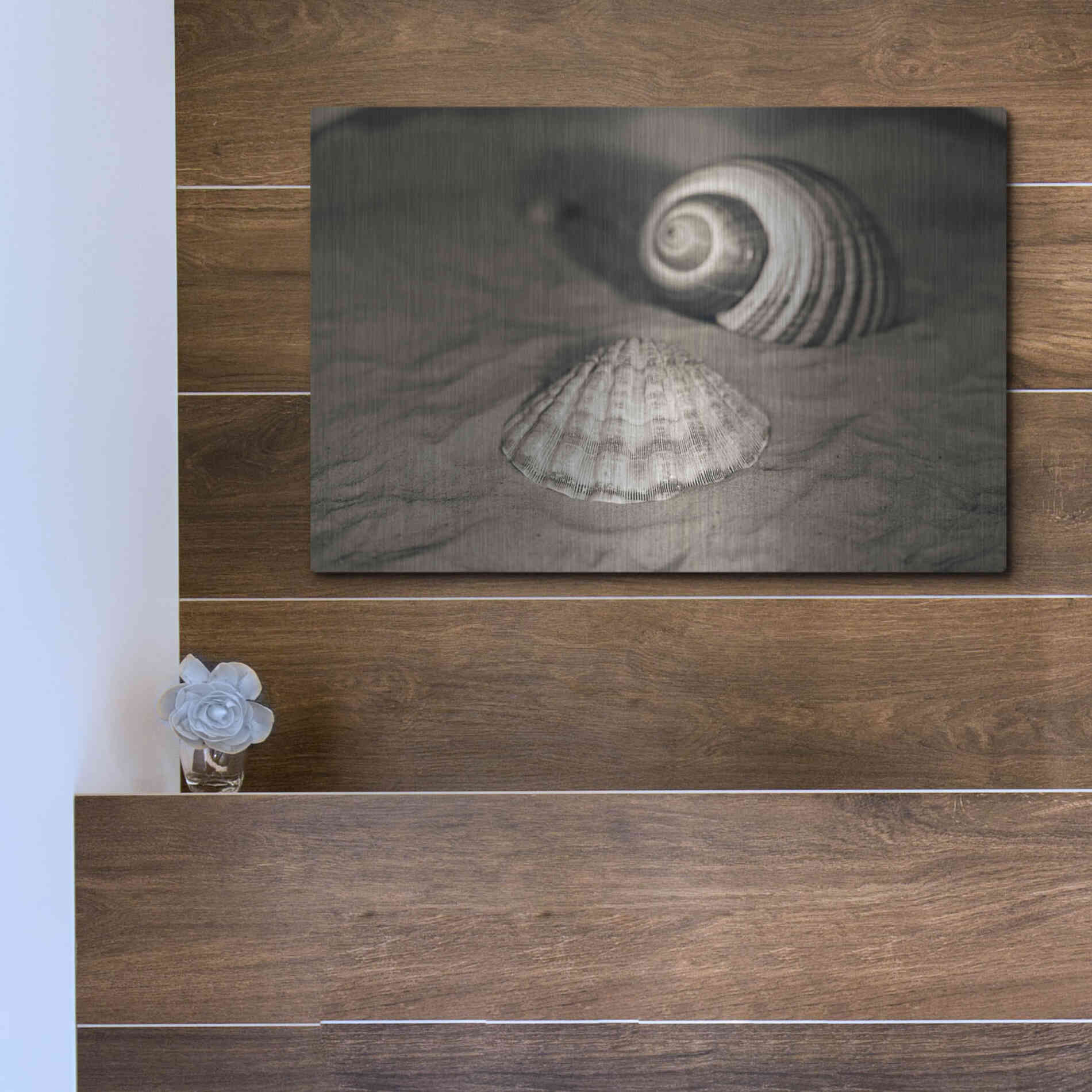 Luxe Metal Art 'Scallop Tonna' by Debra Van Swearingen, Metal Wall Art,16x12