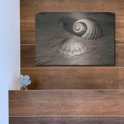 Luxe Metal Art 'Scallop Tonna' by Debra Van Swearingen, Metal Wall Art,16x12