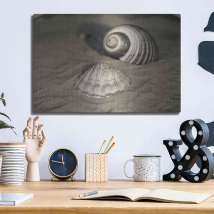 Luxe Metal Art 'Scallop Tonna' by Debra Van Swearingen, Metal Wall Art,16x12
