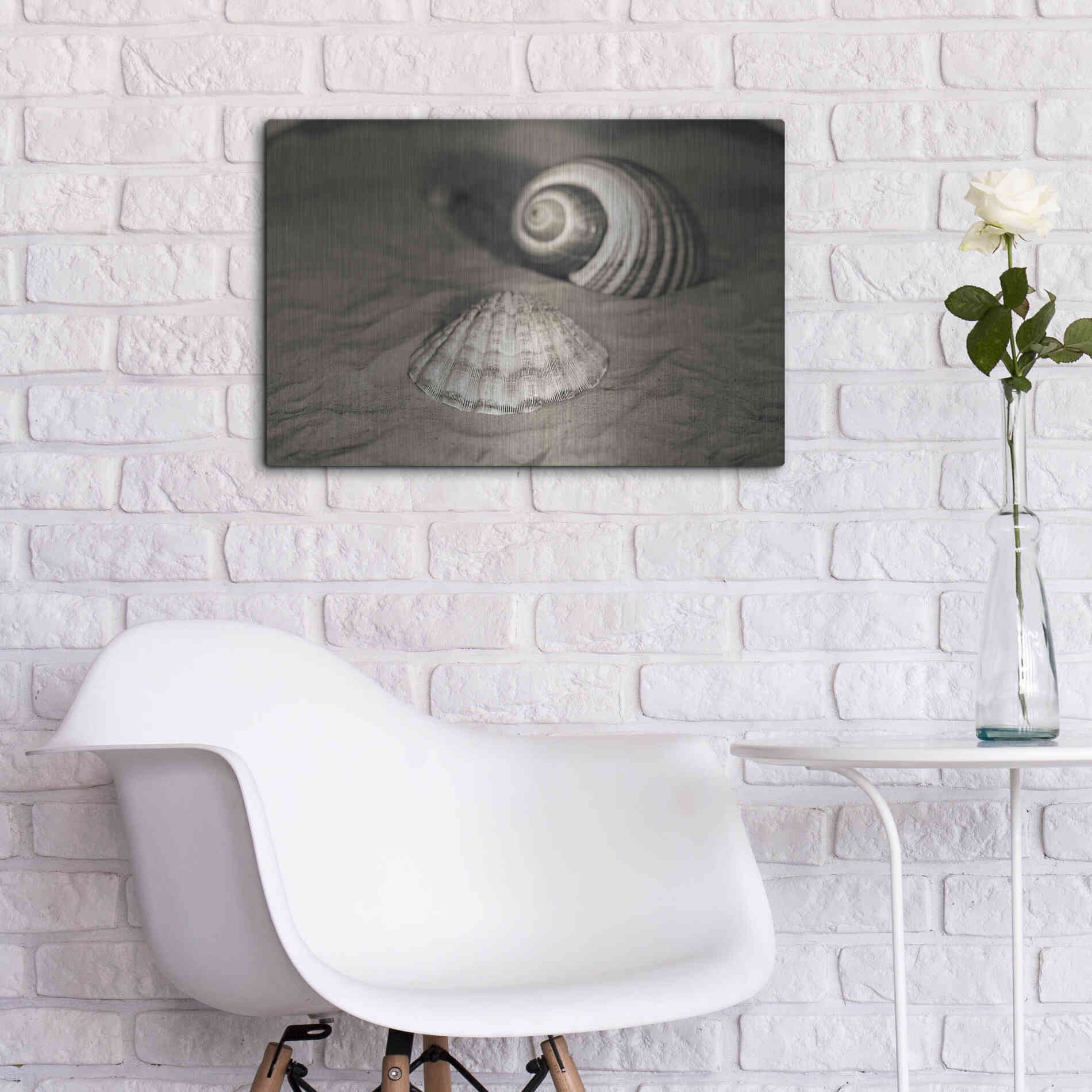 Luxe Metal Art 'Scallop Tonna' by Debra Van Swearingen, Metal Wall Art,24x16