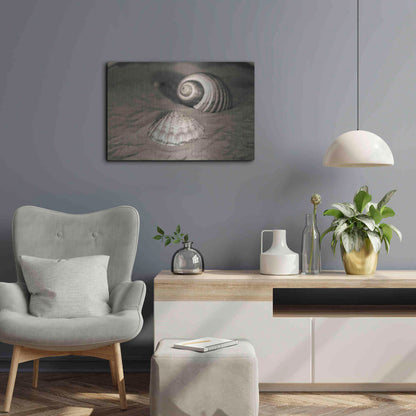 Luxe Metal Art 'Scallop Tonna' by Debra Van Swearingen, Metal Wall Art,24x16