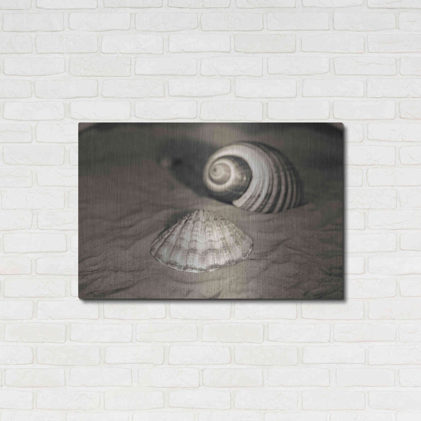 Luxe Metal Art 'Scallop Tonna' by Debra Van Swearingen, Metal Wall Art,36x24