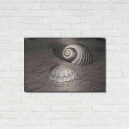 Luxe Metal Art 'Scallop Tonna' by Debra Van Swearingen, Metal Wall Art,36x24