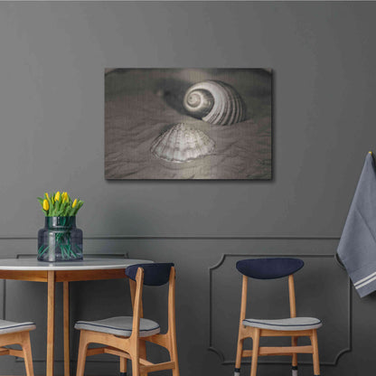 Luxe Metal Art 'Scallop Tonna' by Debra Van Swearingen, Metal Wall Art,36x24
