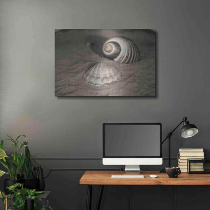 Luxe Metal Art 'Scallop Tonna' by Debra Van Swearingen, Metal Wall Art,36x24
