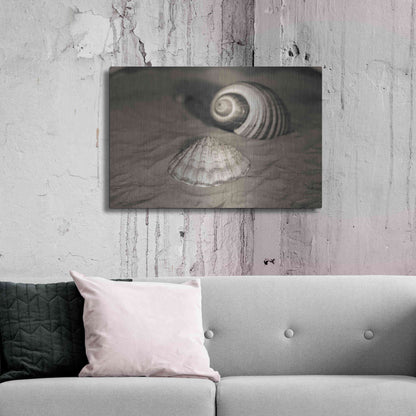 Luxe Metal Art 'Scallop Tonna' by Debra Van Swearingen, Metal Wall Art,36x24