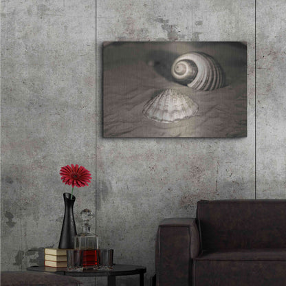 Luxe Metal Art 'Scallop Tonna' by Debra Van Swearingen, Metal Wall Art,36x24