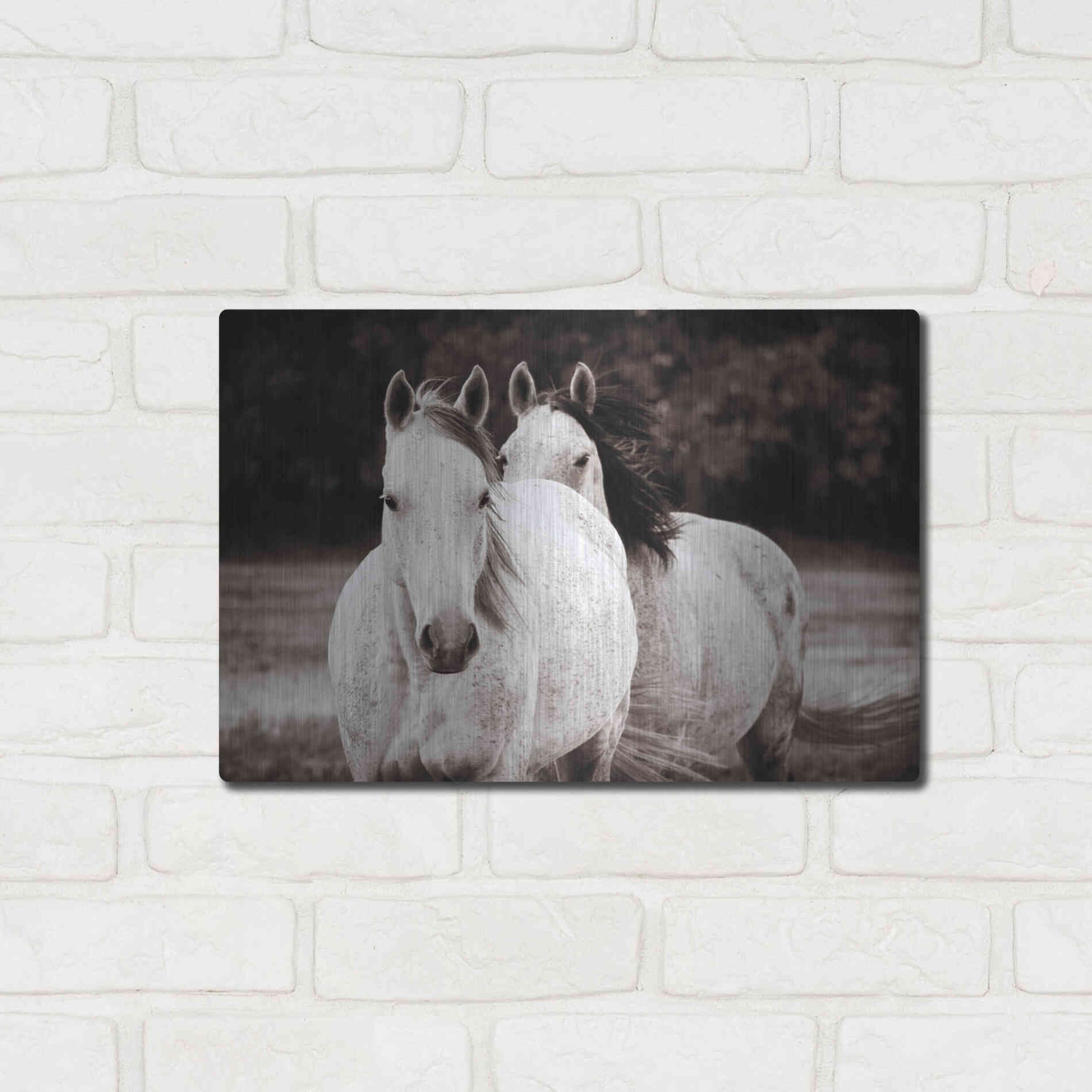 Luxe Metal Art 'Two Wild Horses Sepia' by Debra Van Swearingen, Metal Wall Art,16x12