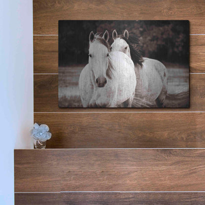 Luxe Metal Art 'Two Wild Horses Sepia' by Debra Van Swearingen, Metal Wall Art,16x12