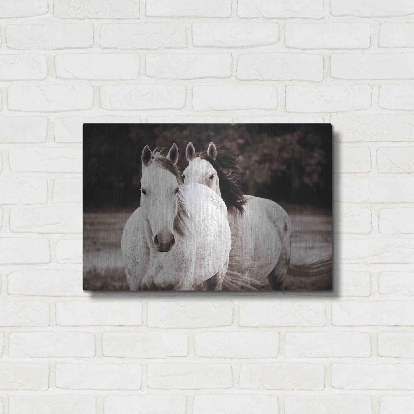 Luxe Metal Art 'Two Wild Horses Sepia' by Debra Van Swearingen, Metal Wall Art,24x16