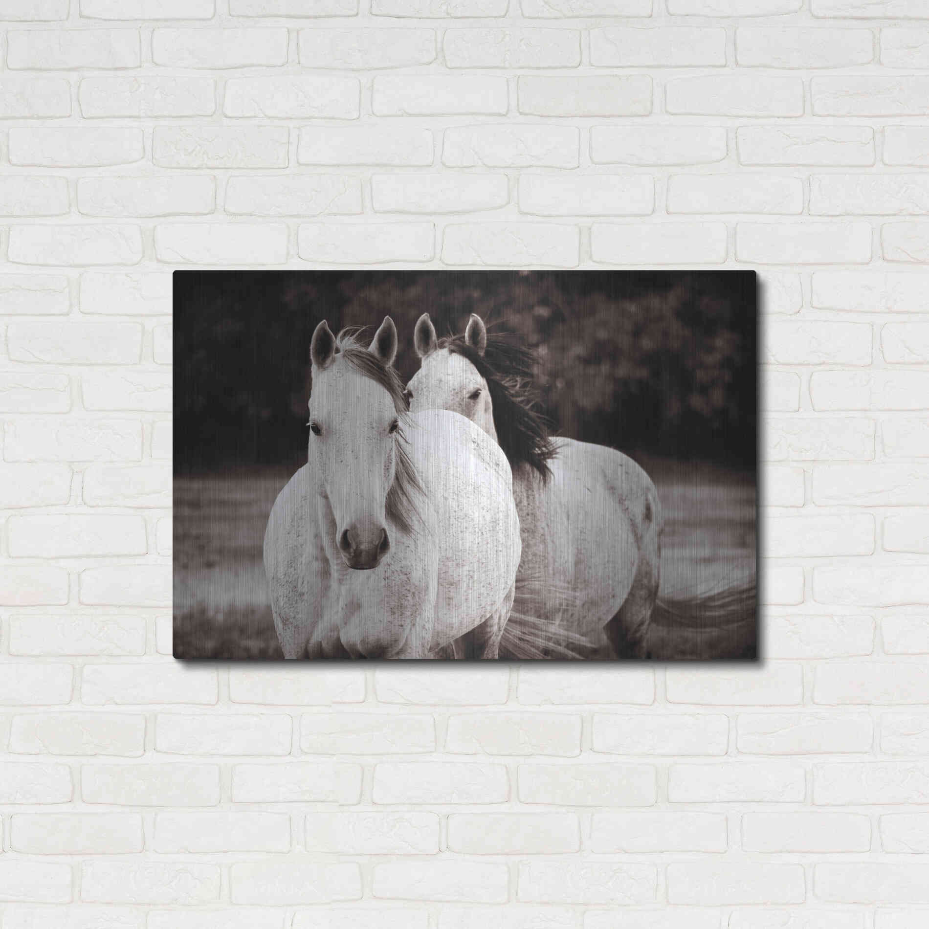 Luxe Metal Art 'Two Wild Horses Sepia' by Debra Van Swearingen, Metal Wall Art,36x24