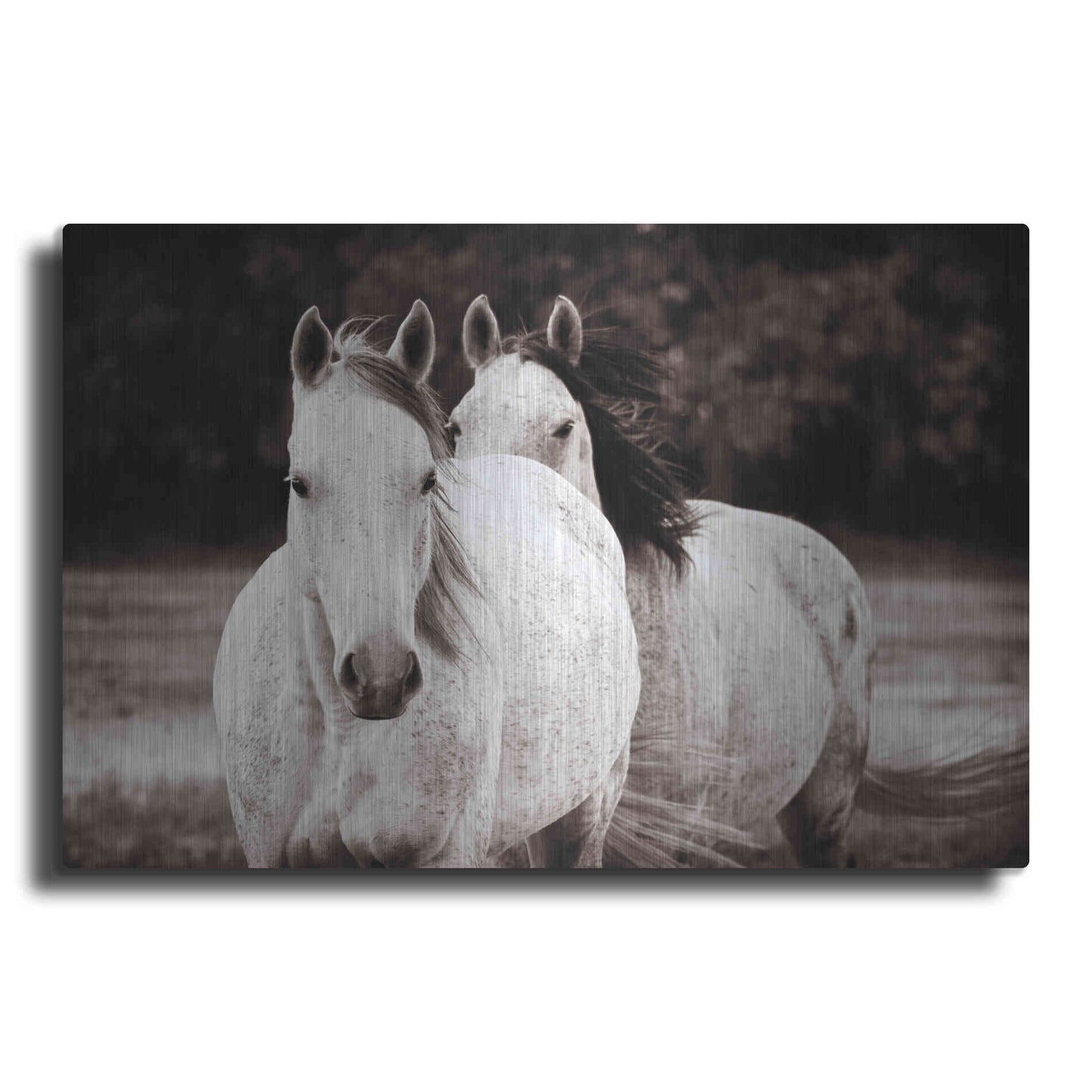 Luxe Metal Art 'Two Wild Horses Sepia' by Debra Van Swearingen, Metal Wall Art