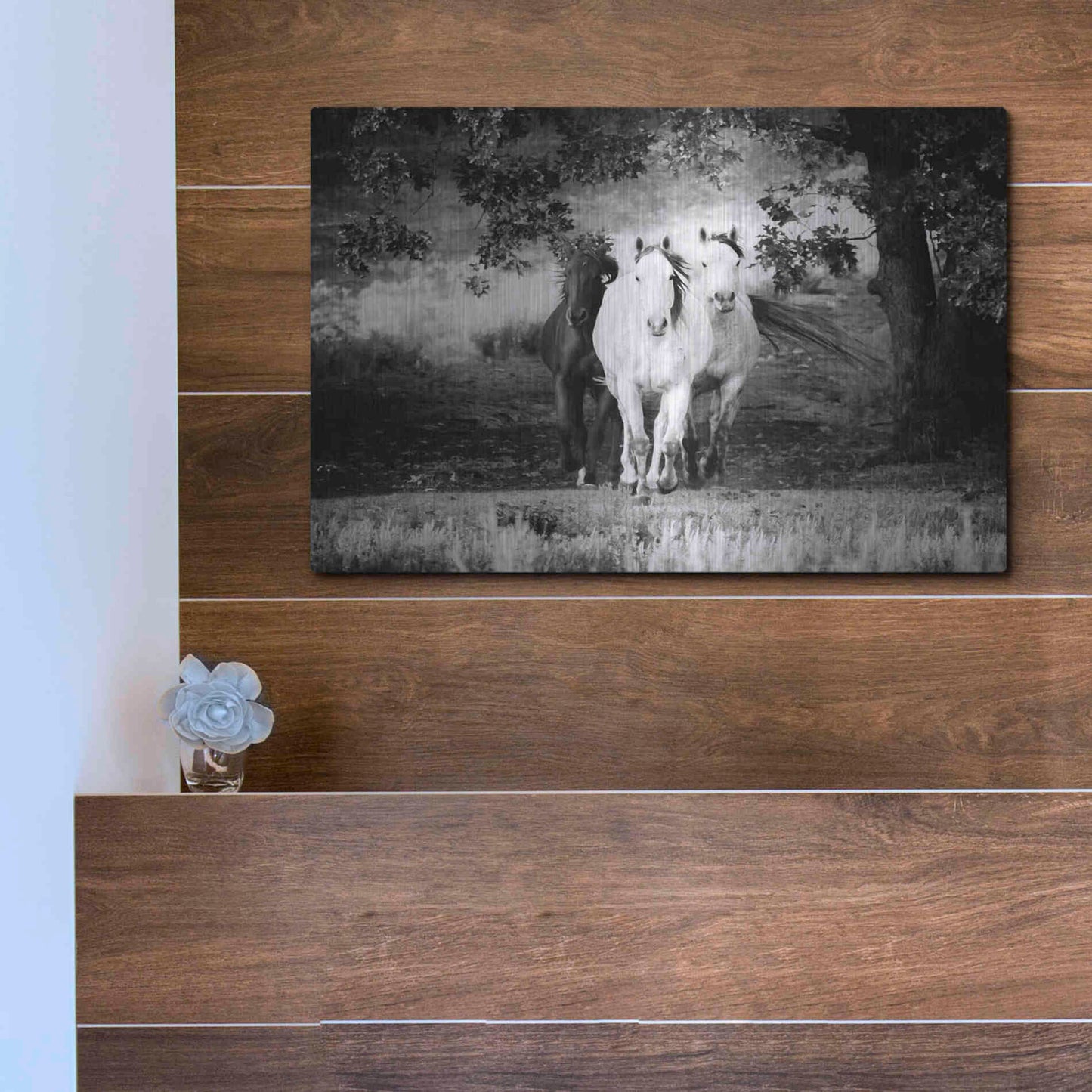 Luxe Metal Art 'Three Wild Horses BW' by Debra Van Swearingen, Metal Wall Art,16x12