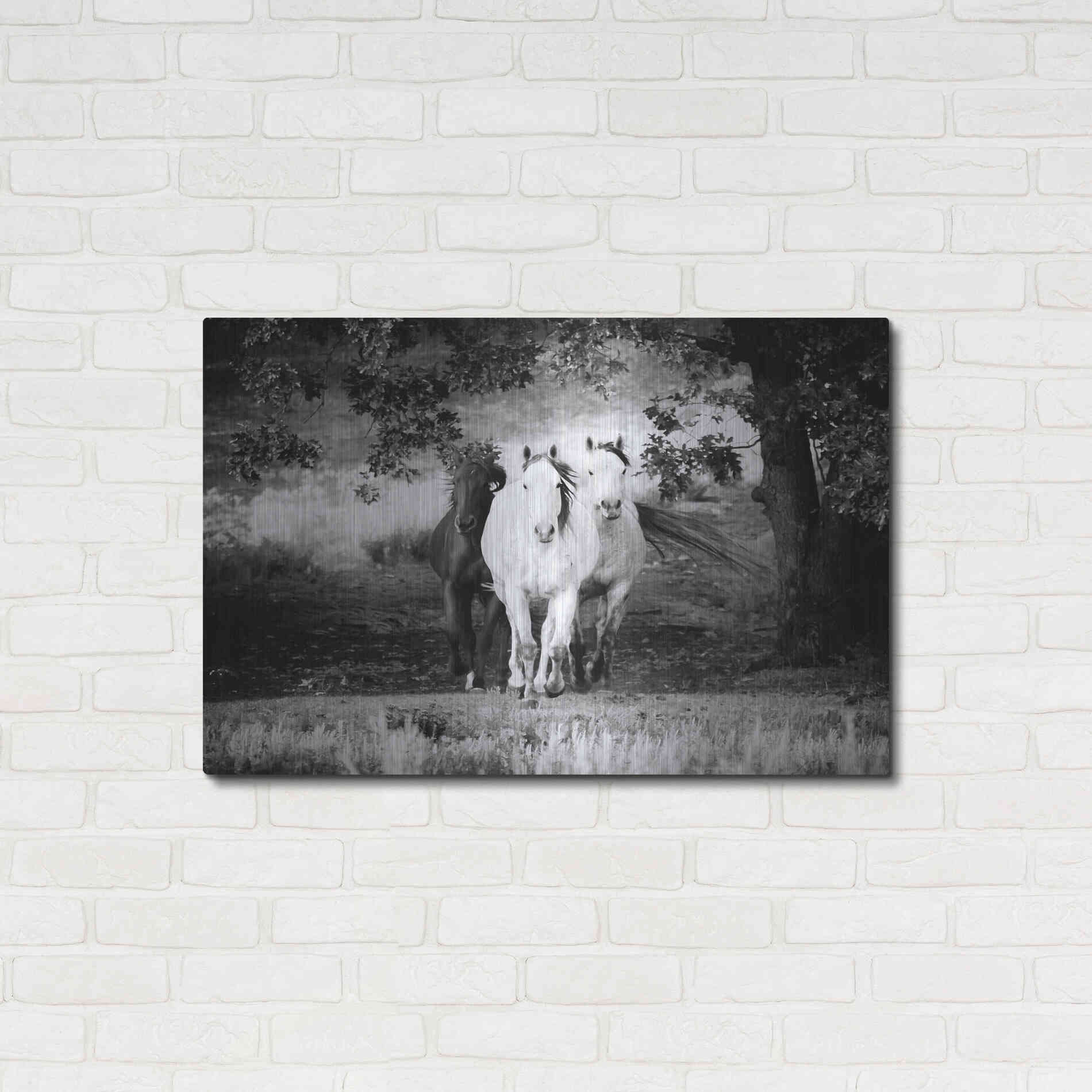 Luxe Metal Art 'Three Wild Horses BW' by Debra Van Swearingen, Metal Wall Art,36x24