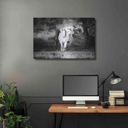 Luxe Metal Art 'Three Wild Horses BW' by Debra Van Swearingen, Metal Wall Art,36x24