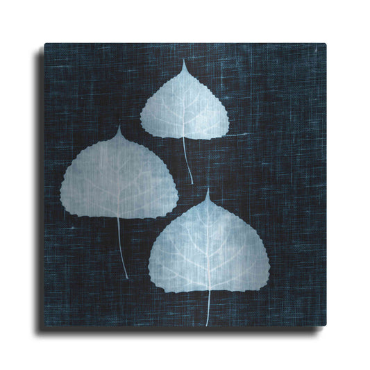 Luxe Metal Art 'Leaves on Linen III' by Debra Van Swearingen, Metal Wall Art