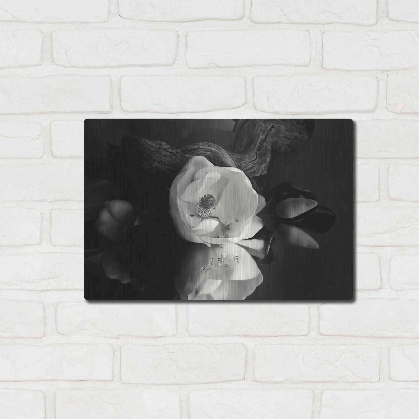 Luxe Metal Art 'Magnolia and Driftwood I' by Debra Van Swearingen, Metal Wall Art,16x12