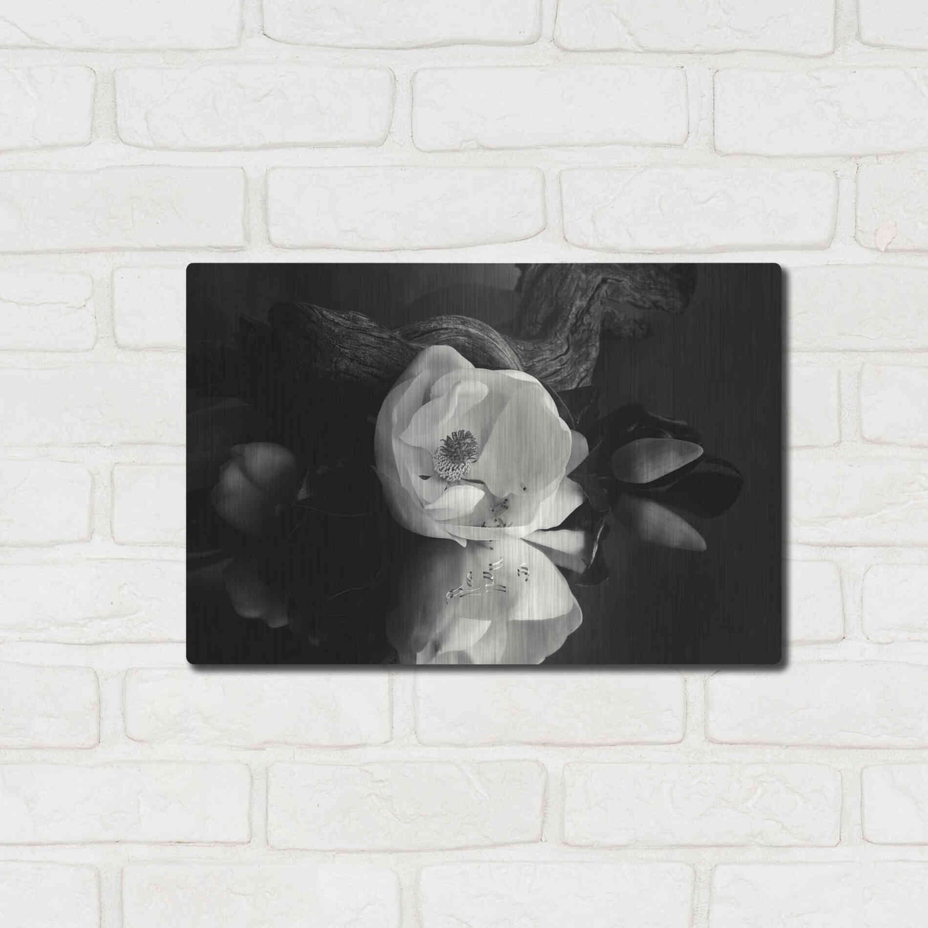 Luxe Metal Art 'Magnolia and Driftwood I' by Debra Van Swearingen, Metal Wall Art,16x12