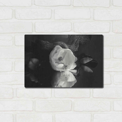 Luxe Metal Art 'Magnolia and Driftwood I' by Debra Van Swearingen, Metal Wall Art,16x12