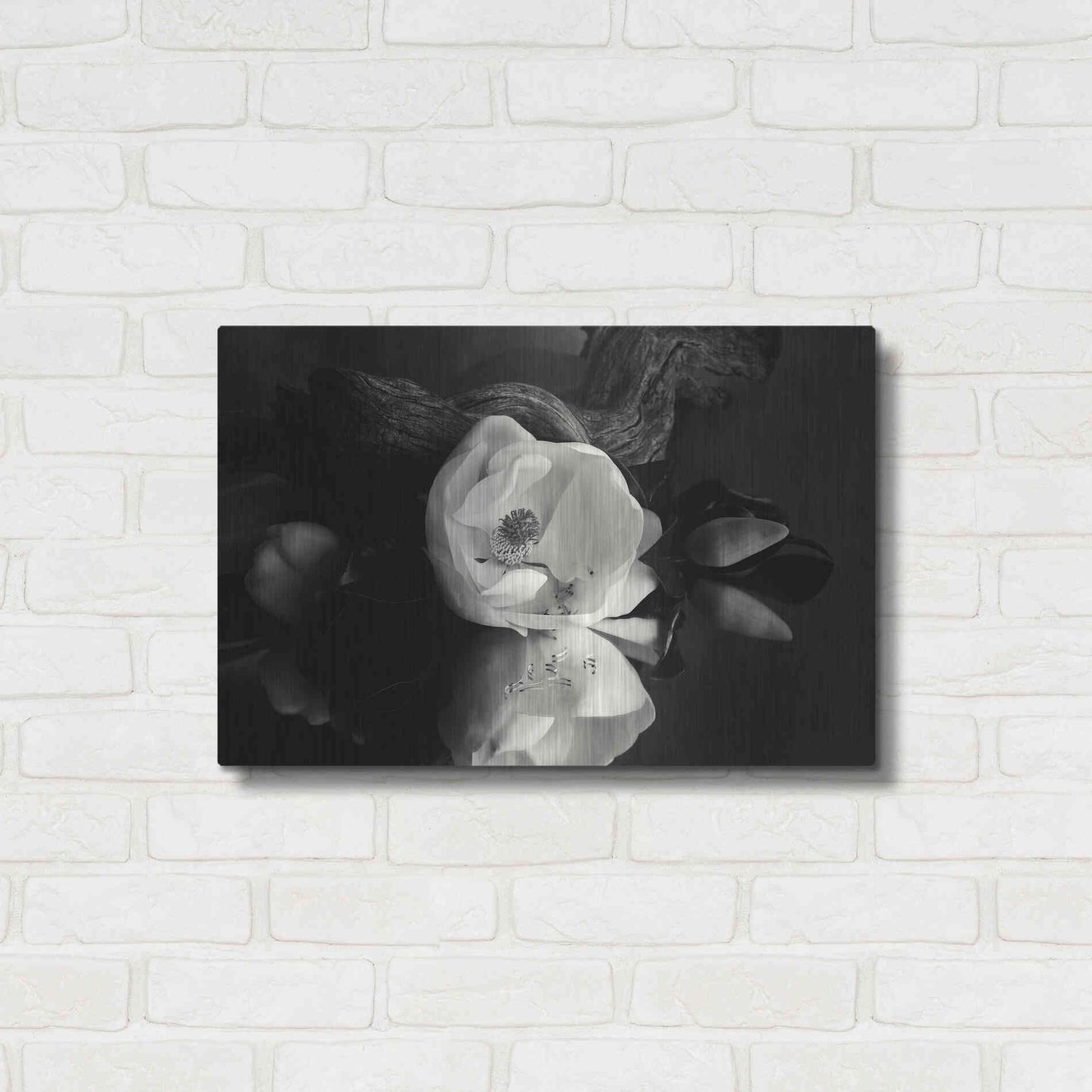 Luxe Metal Art 'Magnolia and Driftwood I' by Debra Van Swearingen, Metal Wall Art,24x16