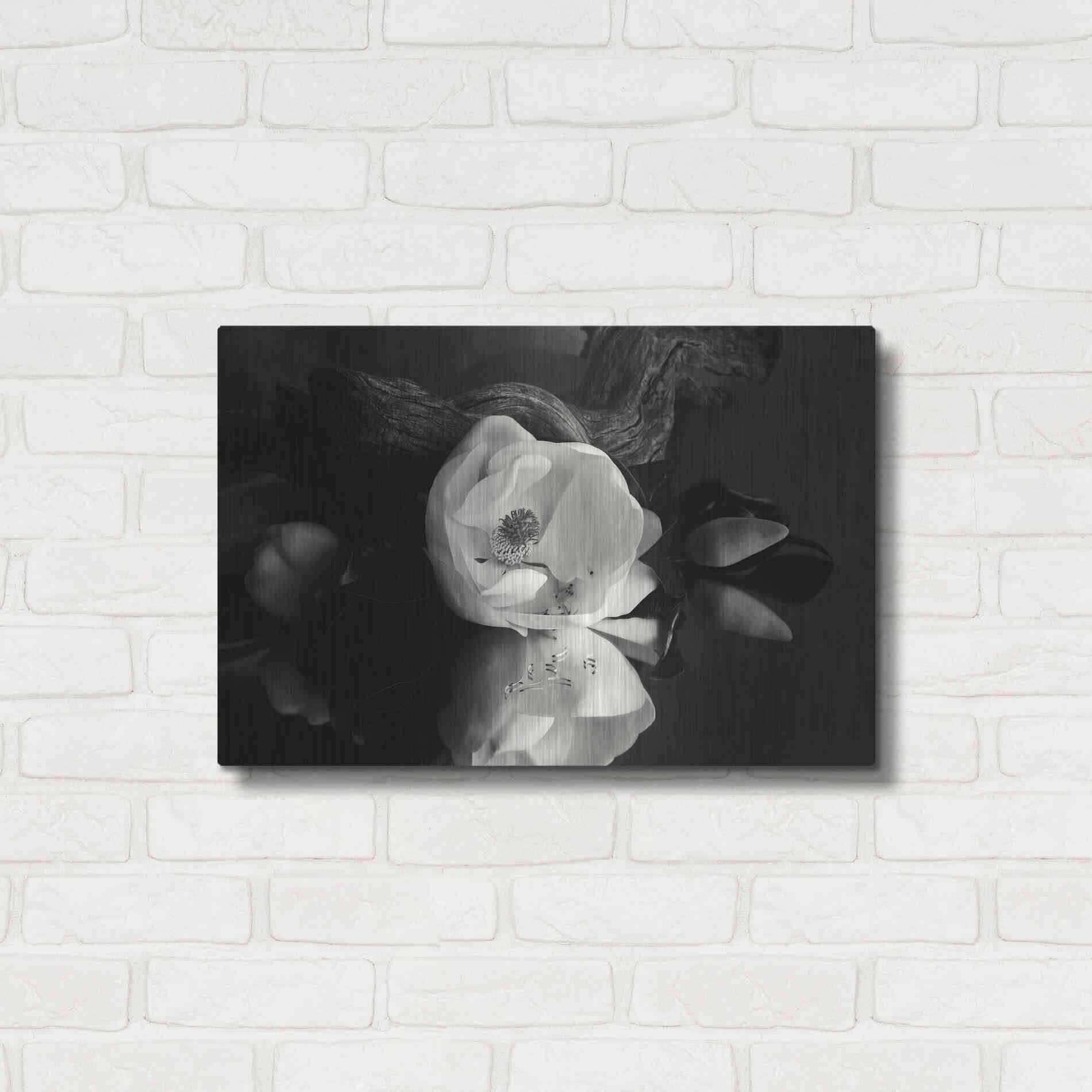 Luxe Metal Art 'Magnolia and Driftwood I' by Debra Van Swearingen, Metal Wall Art,24x16