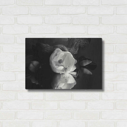 Luxe Metal Art 'Magnolia and Driftwood I' by Debra Van Swearingen, Metal Wall Art,24x16