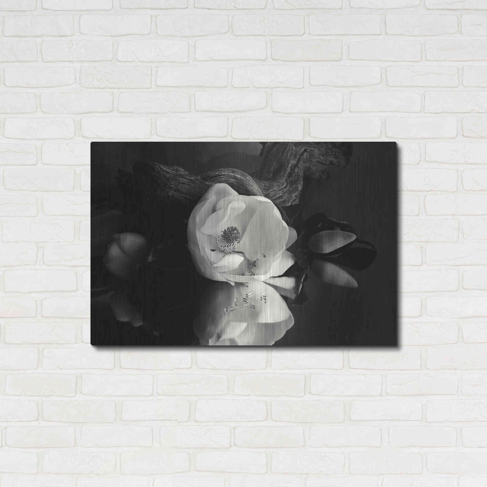 Luxe Metal Art 'Magnolia and Driftwood I' by Debra Van Swearingen, Metal Wall Art,36x24