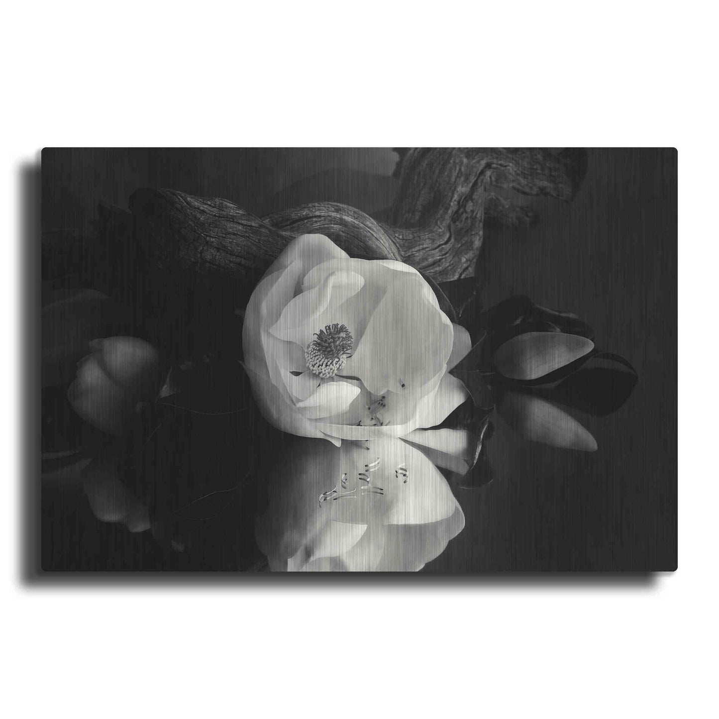 Luxe Metal Art 'Magnolia and Driftwood I' by Debra Van Swearingen, Metal Wall Art