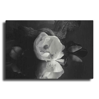 Luxe Metal Art 'Magnolia and Driftwood I' by Debra Van Swearingen, Metal Wall Art