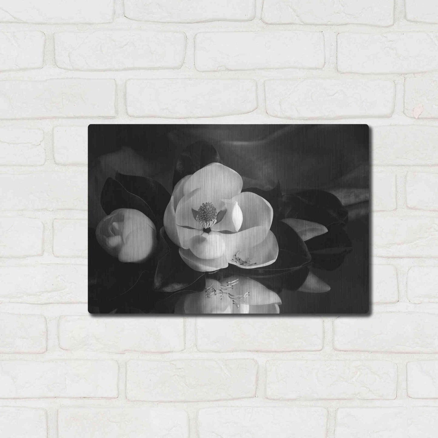 Luxe Metal Art 'Magnolia in Bloom' by Debra Van Swearingen, Metal Wall Art,16x12
