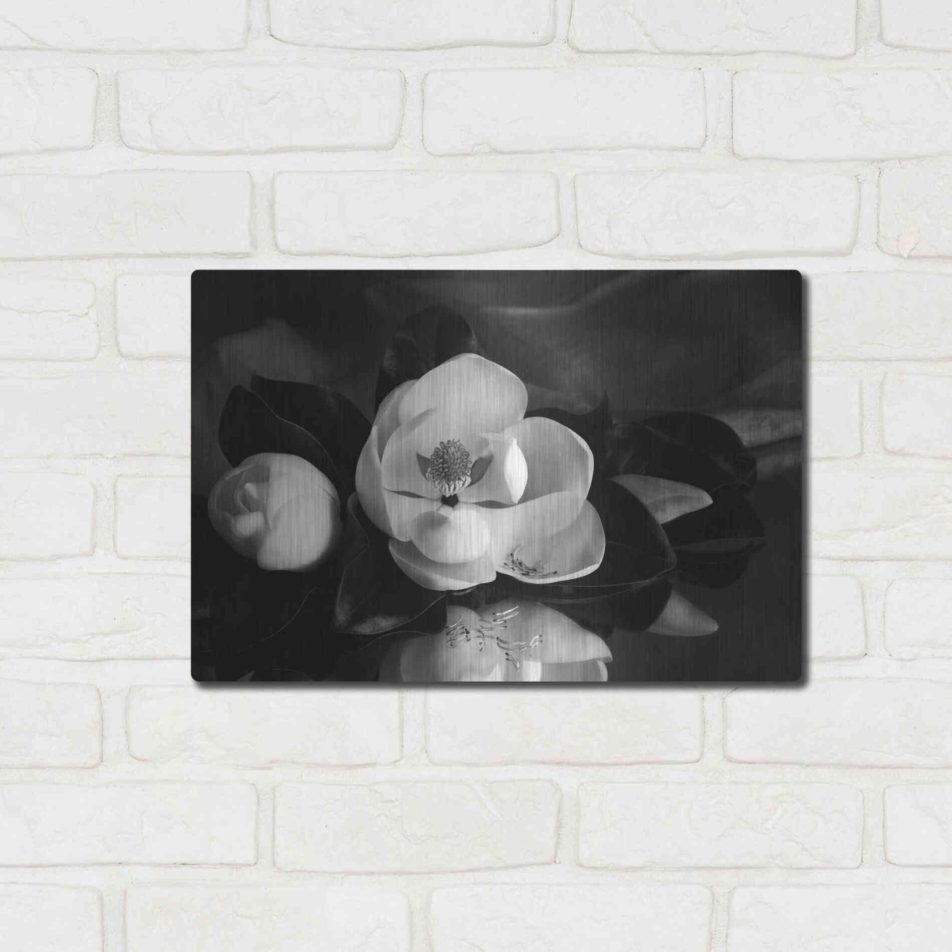 Luxe Metal Art 'Magnolia in Bloom' by Debra Van Swearingen, Metal Wall Art,16x12