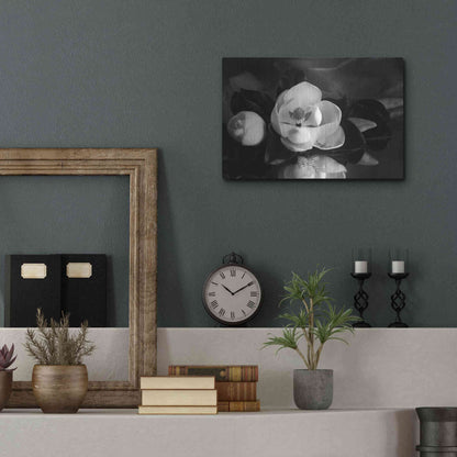 Luxe Metal Art 'Magnolia in Bloom' by Debra Van Swearingen, Metal Wall Art,16x12