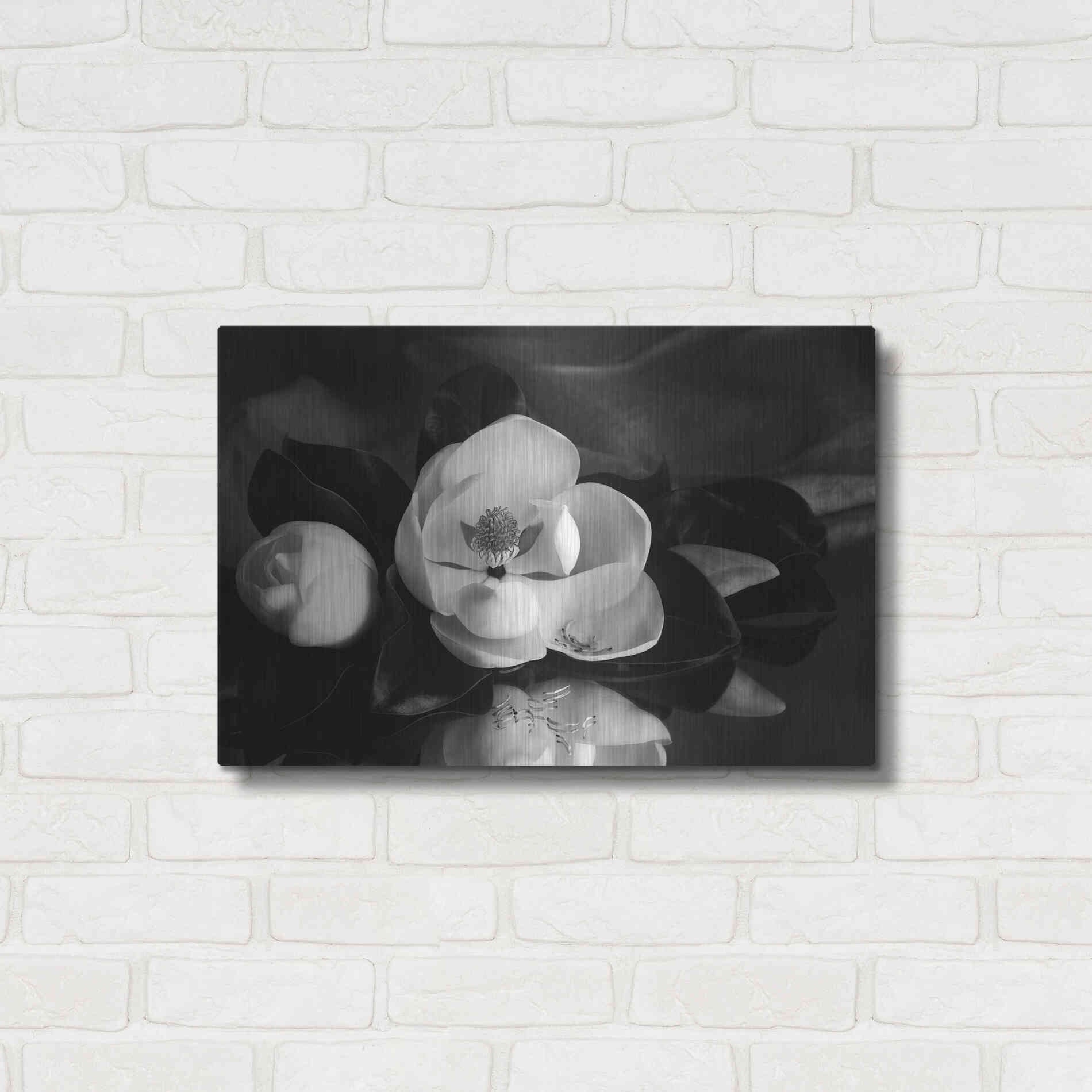 Luxe Metal Art 'Magnolia in Bloom' by Debra Van Swearingen, Metal Wall Art,24x16