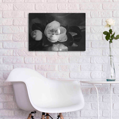 Luxe Metal Art 'Magnolia in Bloom' by Debra Van Swearingen, Metal Wall Art,24x16