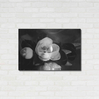 Luxe Metal Art 'Magnolia in Bloom' by Debra Van Swearingen, Metal Wall Art,36x24