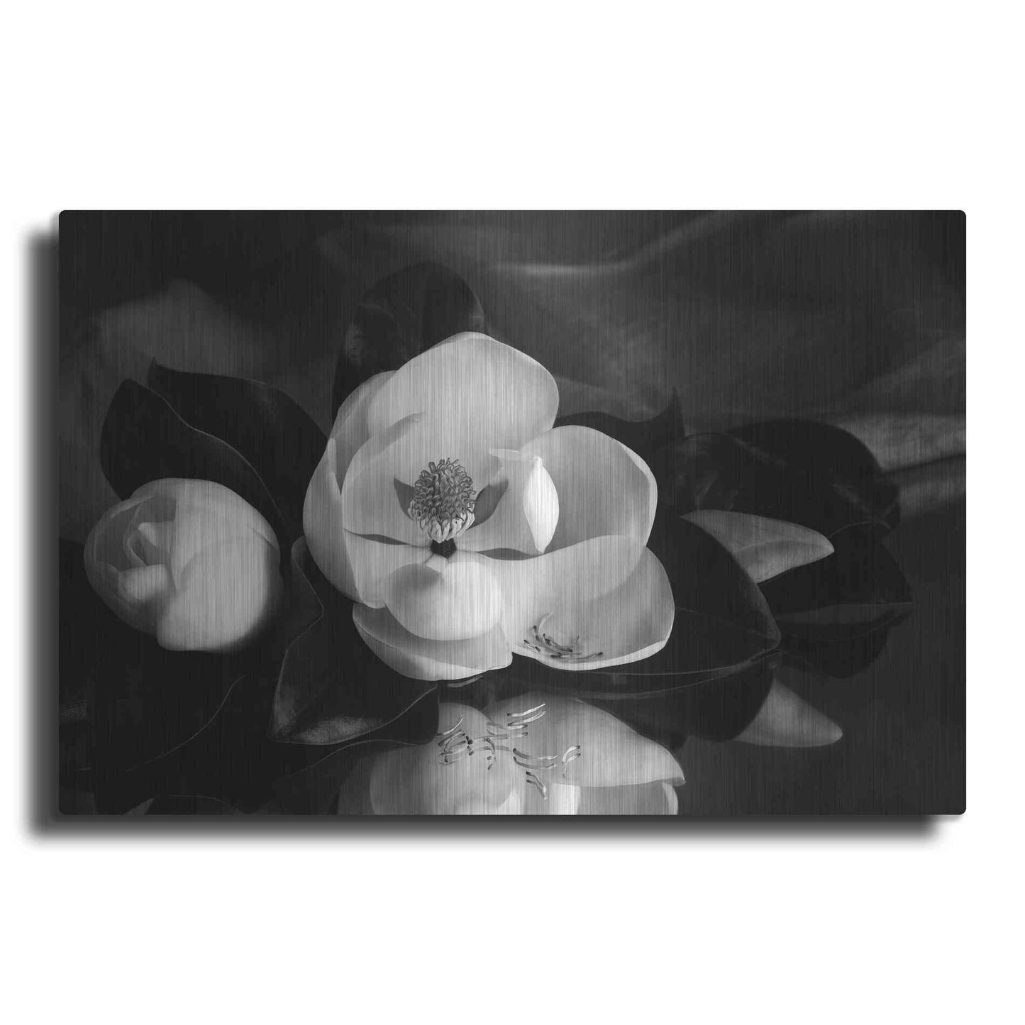 Luxe Metal Art 'Magnolia in Bloom' by Debra Van Swearingen, Metal Wall Art