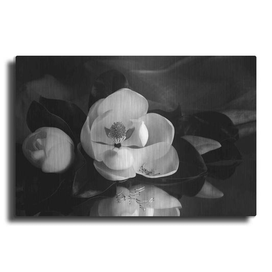 Luxe Metal Art 'Magnolia in Bloom' by Debra Van Swearingen, Metal Wall Art