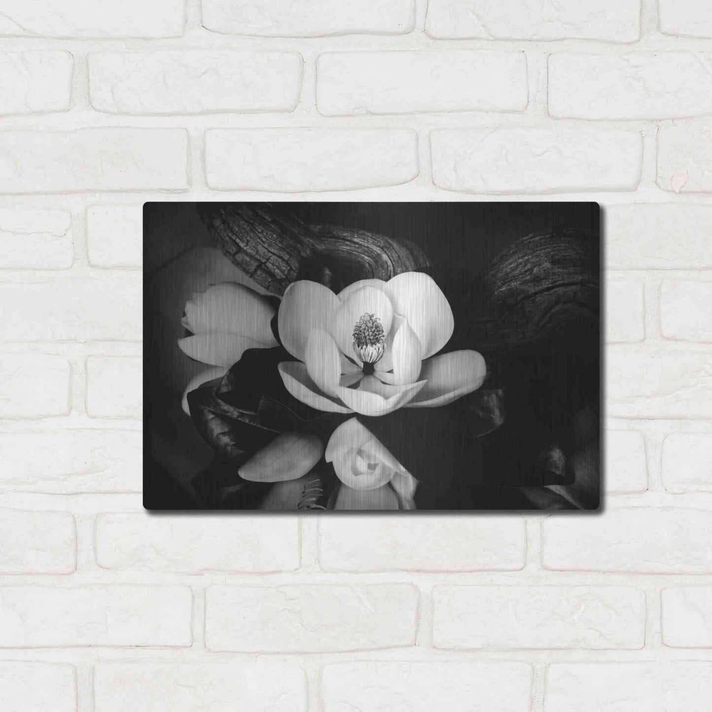 Luxe Metal Art 'Magnolia and Driftwood II' by Debra Van Swearingen, Metal Wall Art,16x12