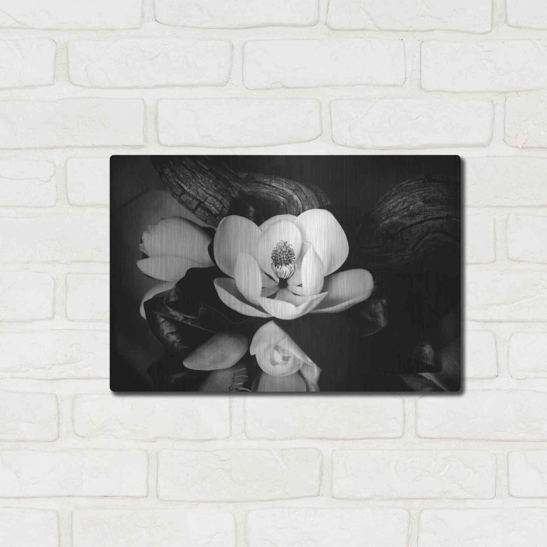 Luxe Metal Art 'Magnolia and Driftwood II' by Debra Van Swearingen, Metal Wall Art,16x12