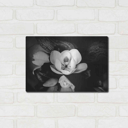 Luxe Metal Art 'Magnolia and Driftwood II' by Debra Van Swearingen, Metal Wall Art,16x12