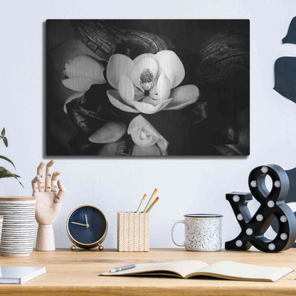 Luxe Metal Art 'Magnolia and Driftwood II' by Debra Van Swearingen, Metal Wall Art,16x12