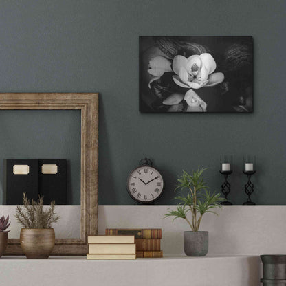 Luxe Metal Art 'Magnolia and Driftwood II' by Debra Van Swearingen, Metal Wall Art,16x12