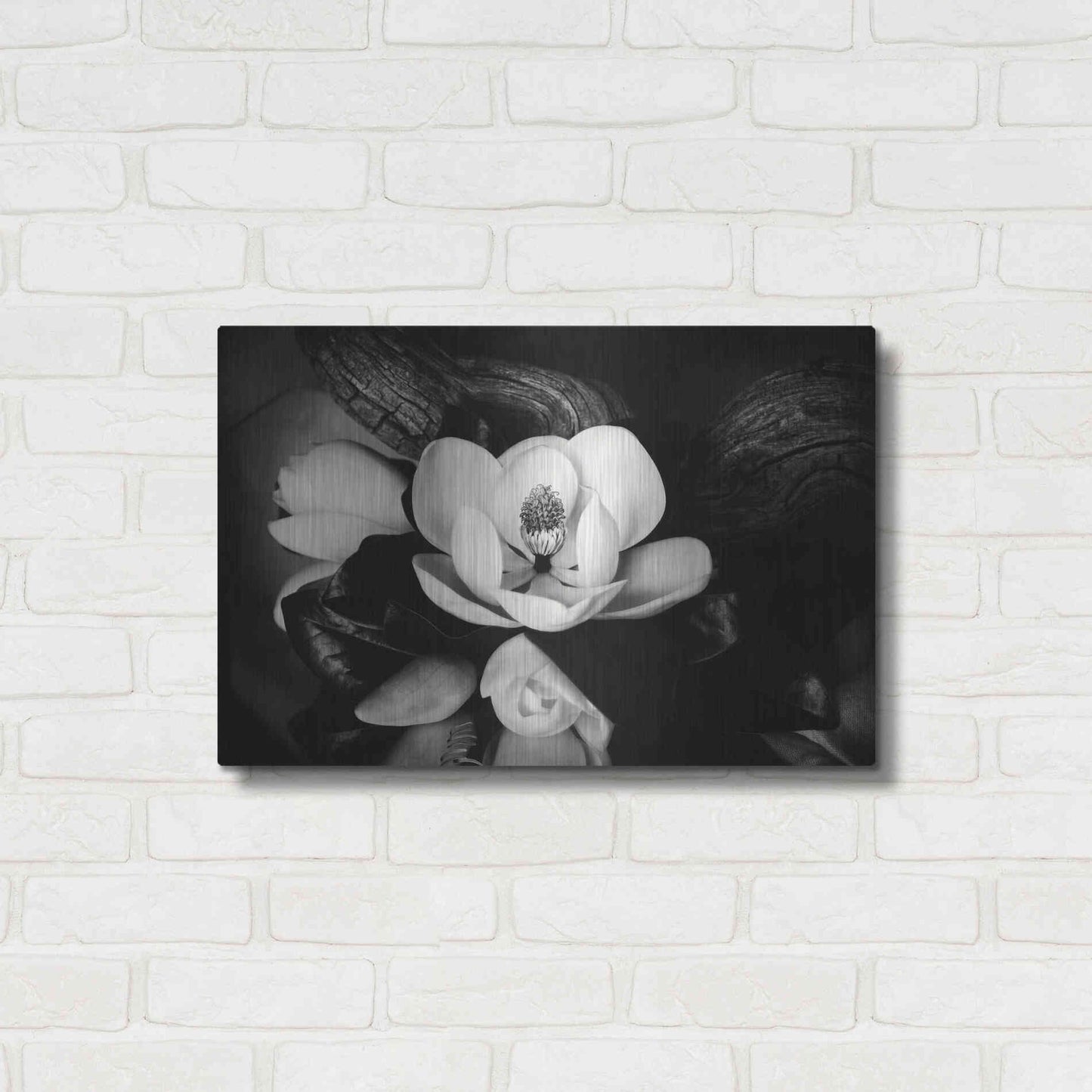 Luxe Metal Art 'Magnolia and Driftwood II' by Debra Van Swearingen, Metal Wall Art,24x16